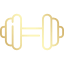 Godrej Parkshire Gym